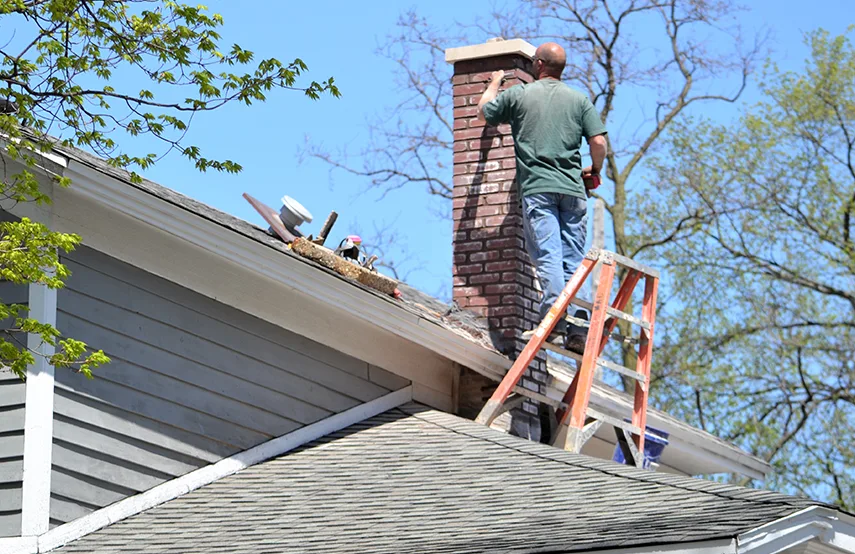 Chimney & Fireplace Inspections Services in East Lake-Orient Park, FL
